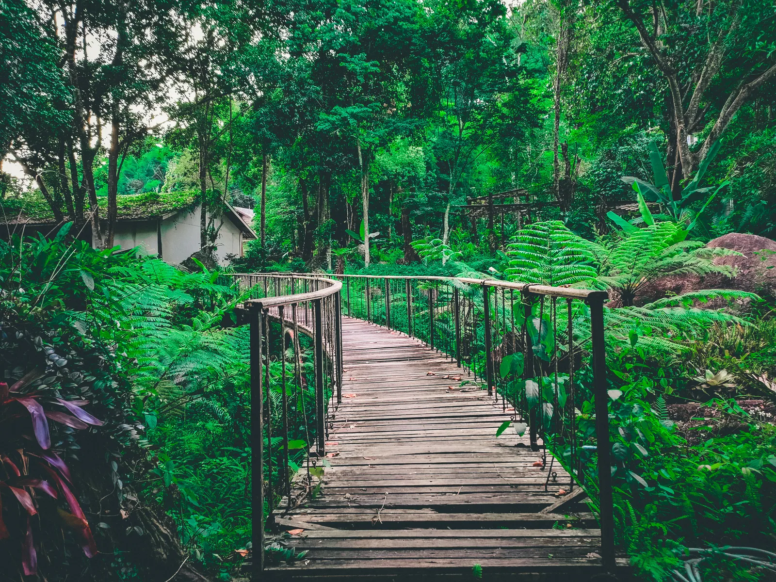 ทัศนียภาพ 360° ยามรุ่งอรุณ